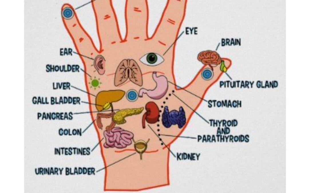 Discover the Benefits of Hand Reflexology