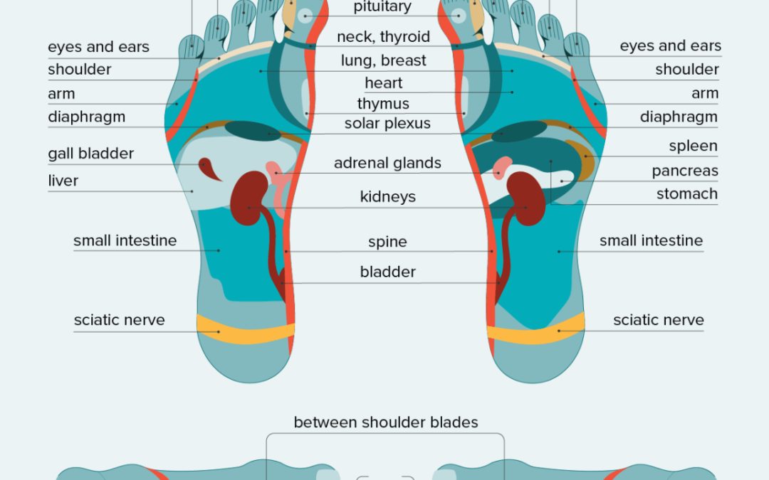 Discover the Benefits of Reflexology Foot Massage