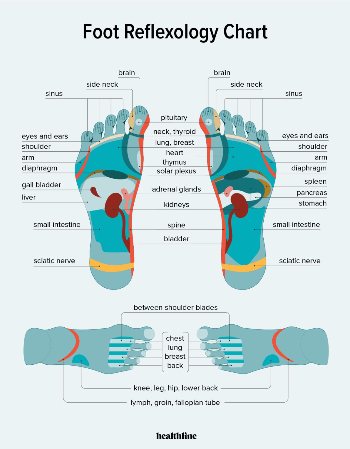 Discover the Benefits of Reflexology Foot Massage
